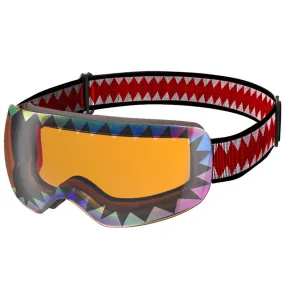 Arctic Ski Interchangeable Goggles