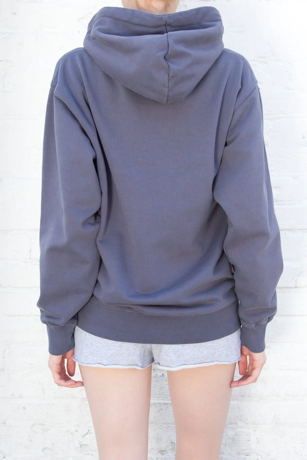 Christy Regular Fit Hoodie