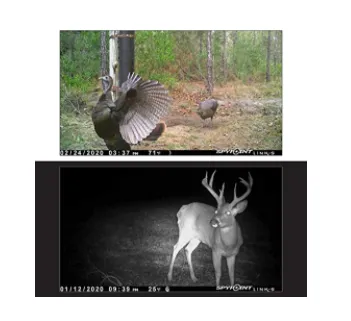 LinkDark Cellular Trail Camera