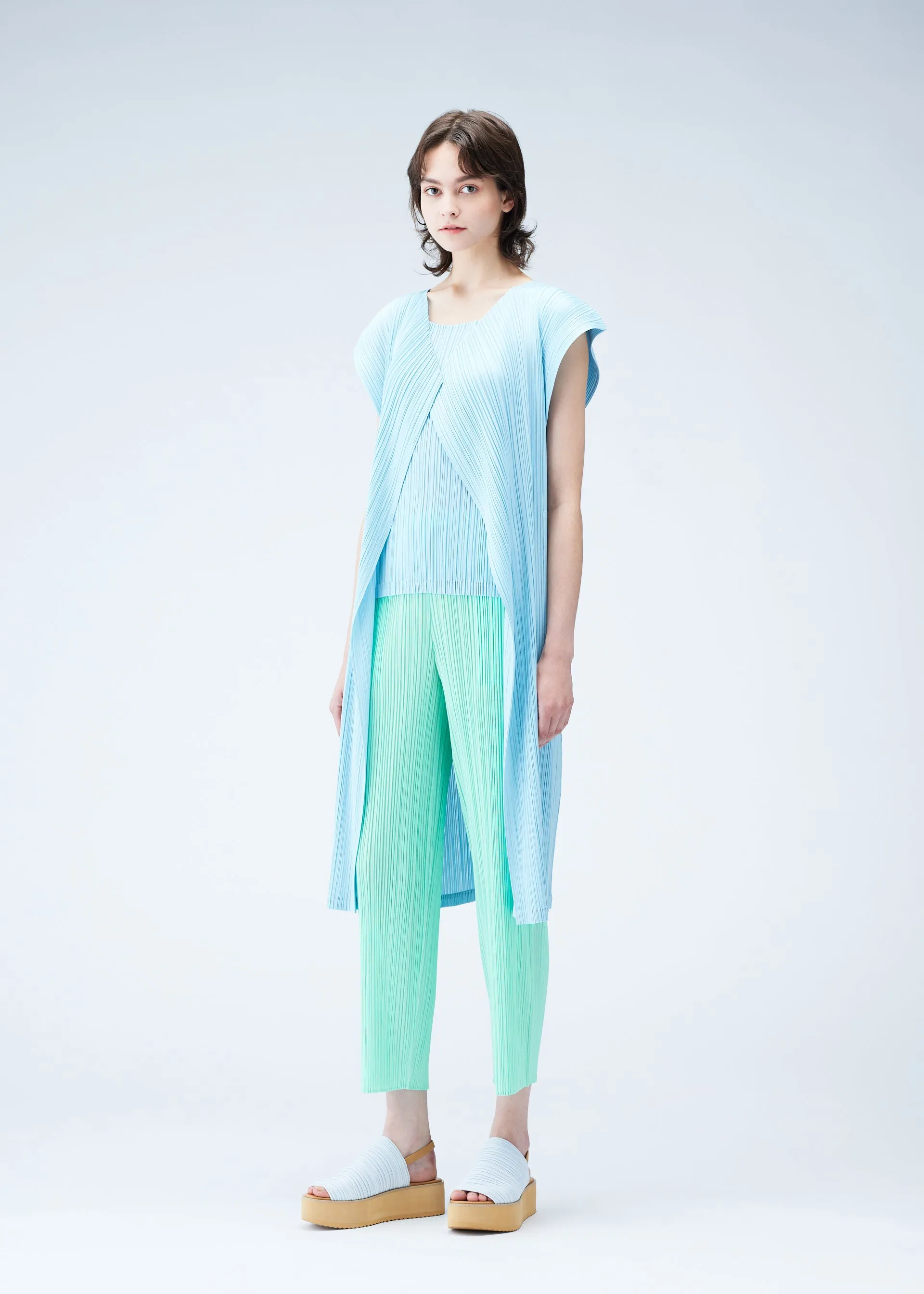 PLEATS PLEASE ISSEY MIYAKE  MONTHLY COLORS : MARCH VEST   